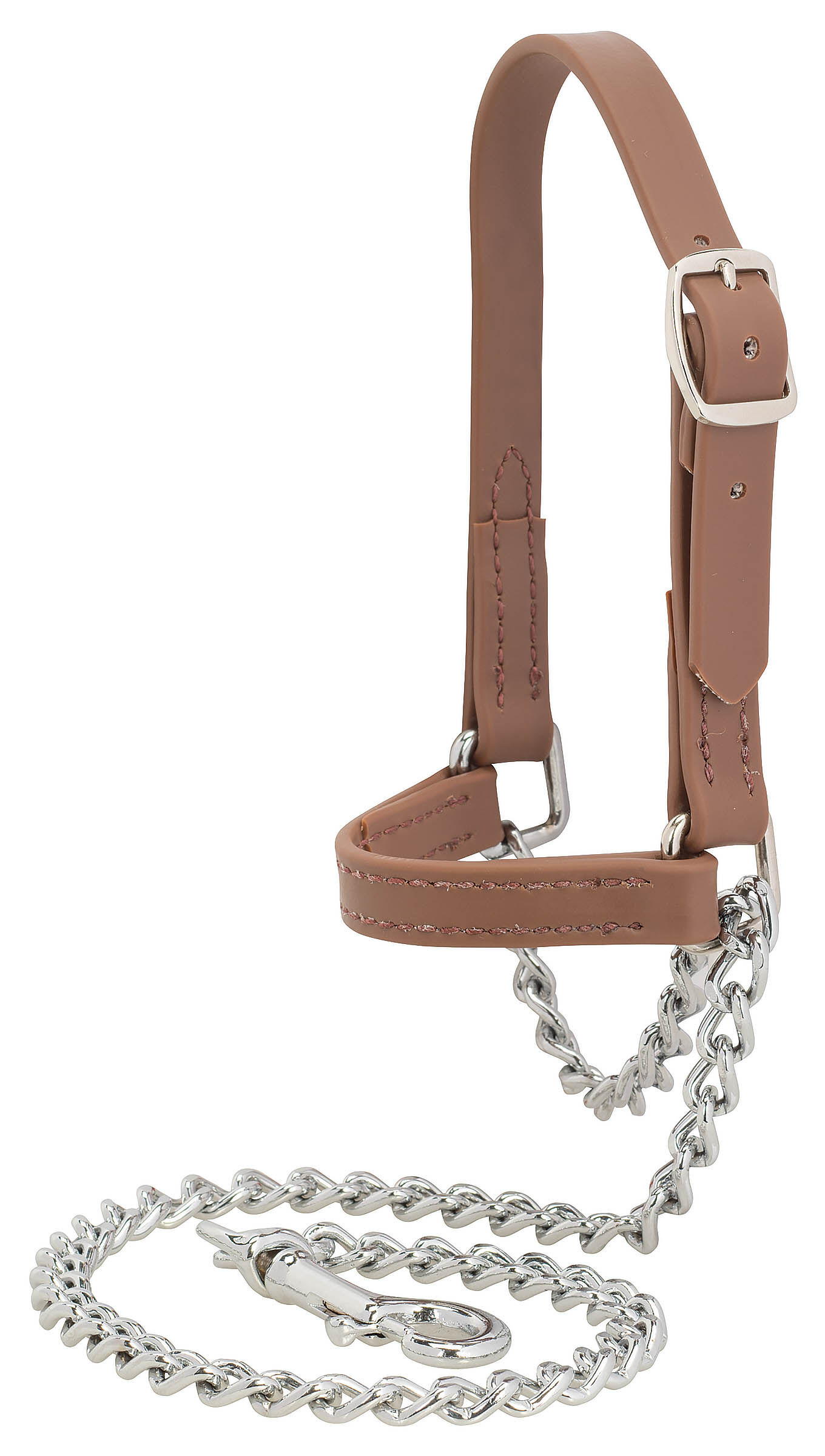 LARGE BRAHMA WEB GOAT HALTER