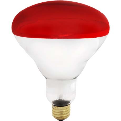 125W Red Soft Glass Light Bulb 