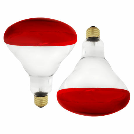 Westinghouse 250-Watt Soft Glass Heat Bulb – 2 Pack