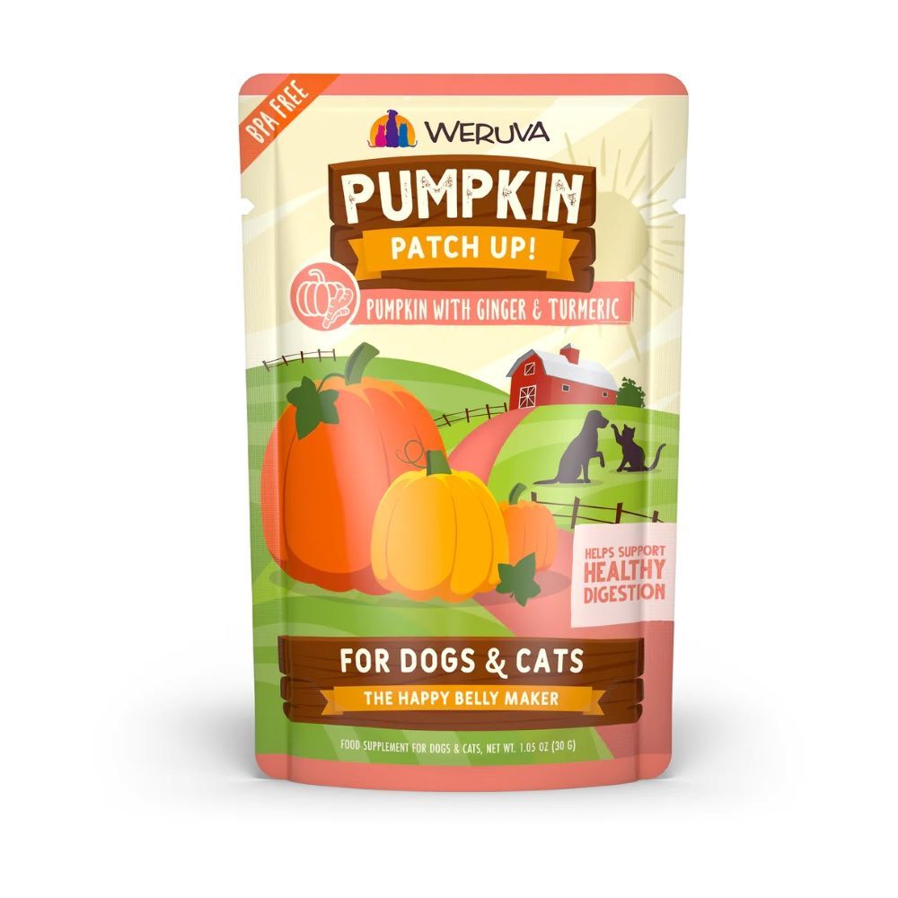 Weruva Pumpkin with Ginger & Turmeric Dog & Cat Food, 1.05-Oz