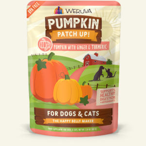 Weruva Pumpkin with Ginger & Turmeric Dog & Cat Food, 1.05-Oz