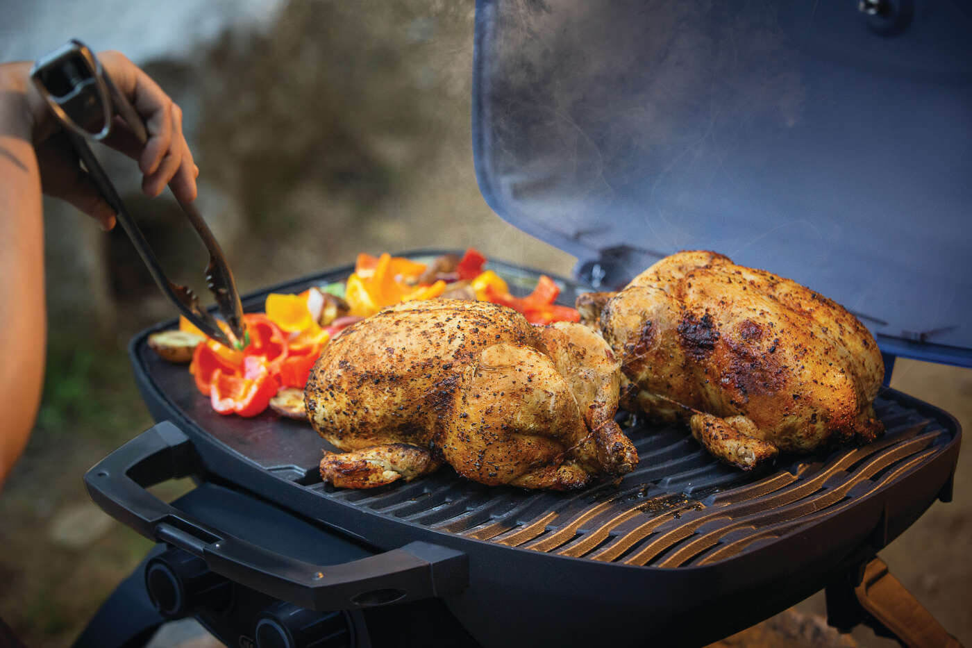 Napoleon TravelQ 285 Blue 2-Burner Portable Propane Grill