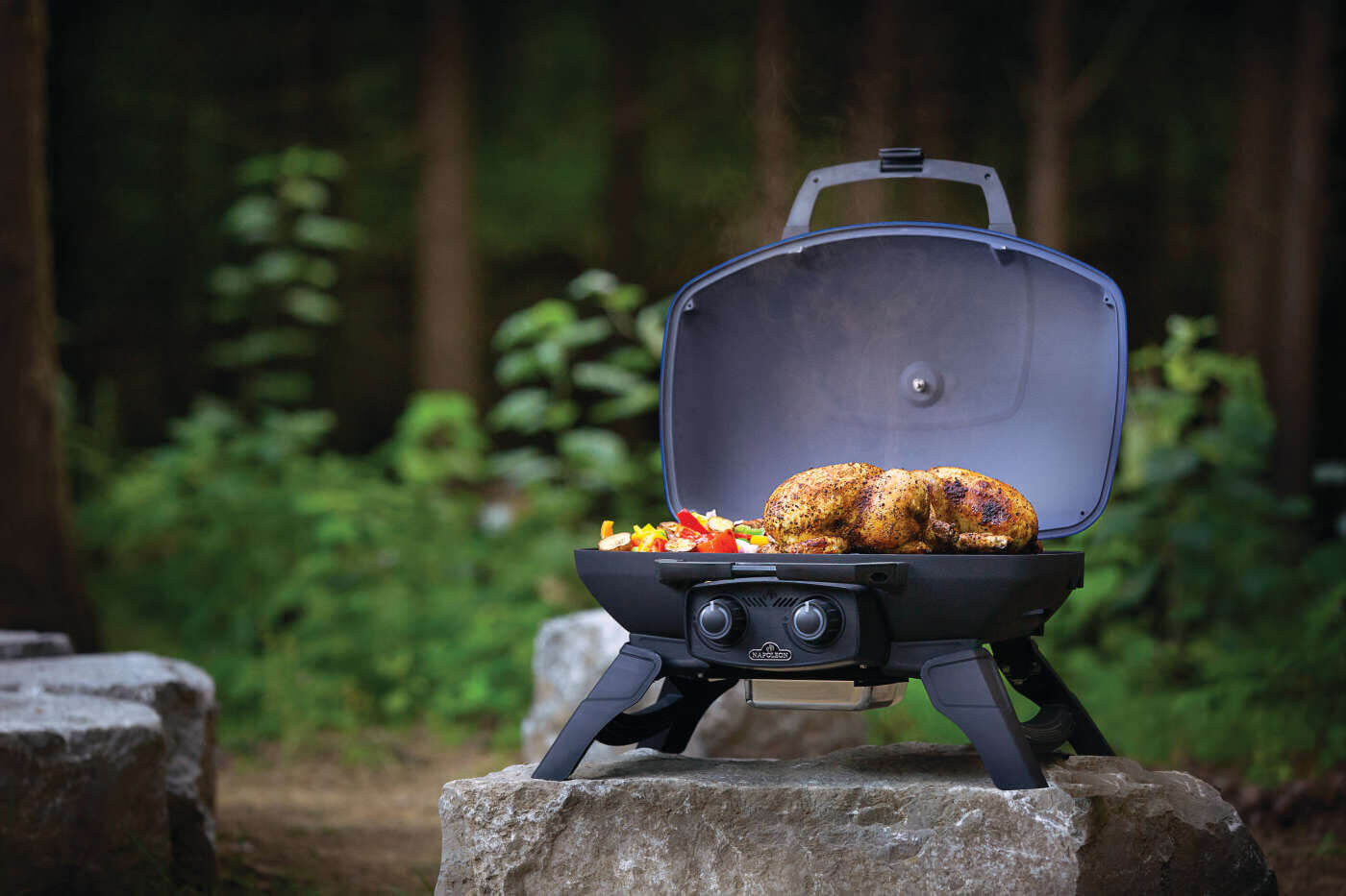 Napoleon TravelQ 285 Blue 2-Burner Portable Propane Grill