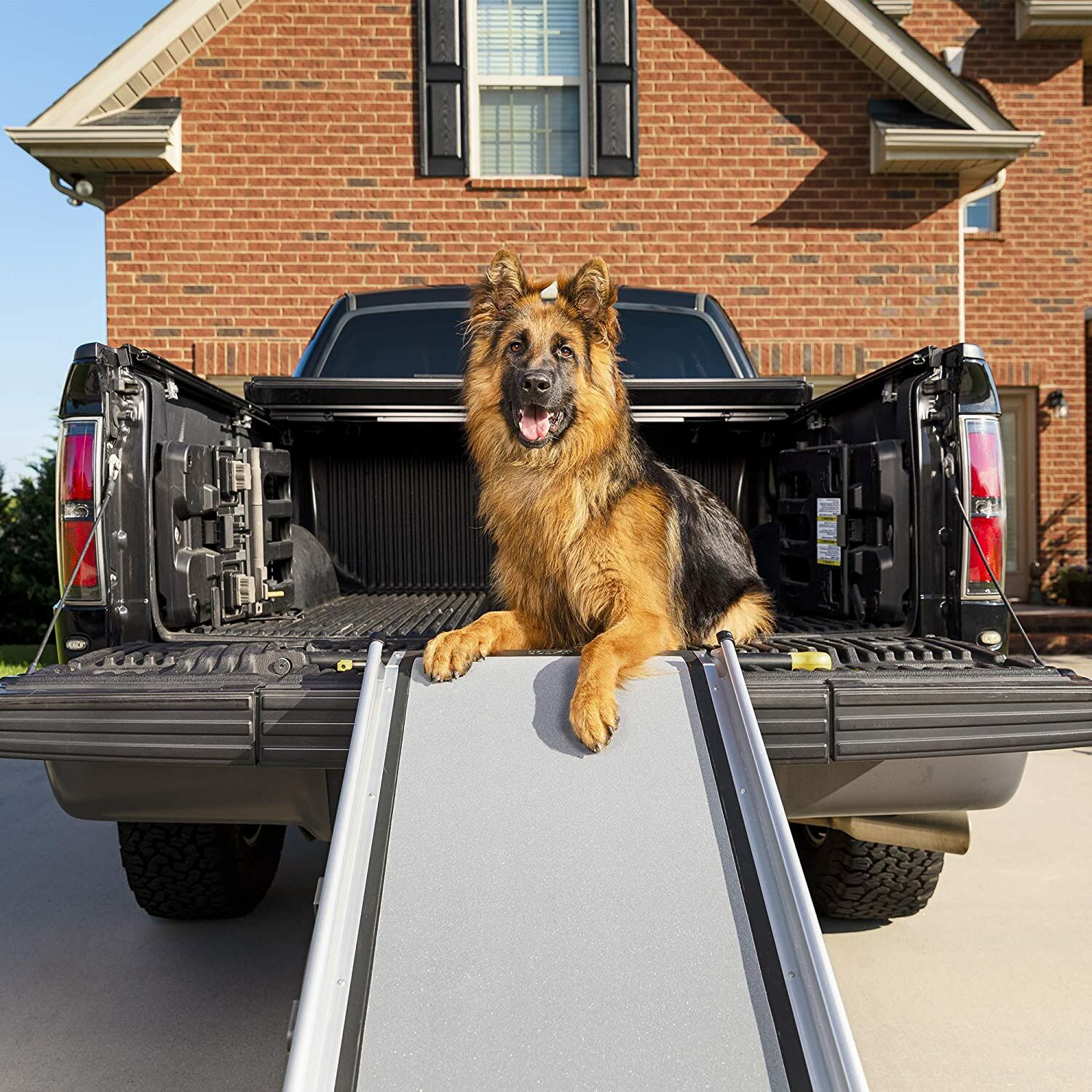 Happy Ride™ Extra Long Telescoping Dog Ramp