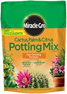 Miracle-Gro Garden Soil Cactus, Palm, and Citrus, 8-qt Bag