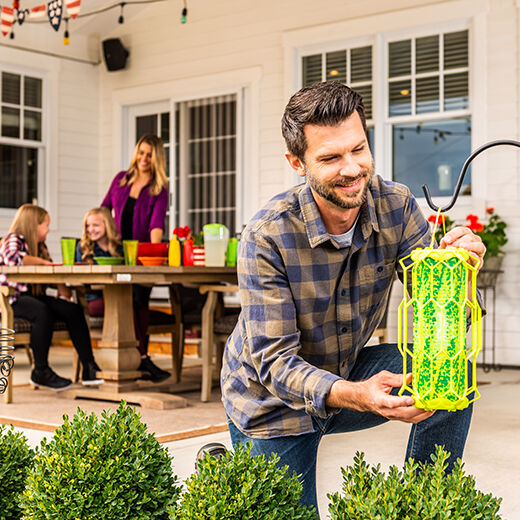 Disposable Wasp TrapStik®