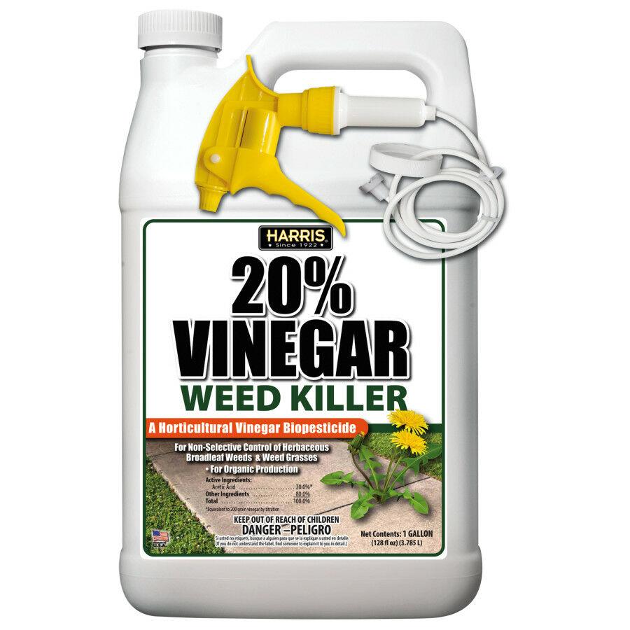 VWEED-128.jpg