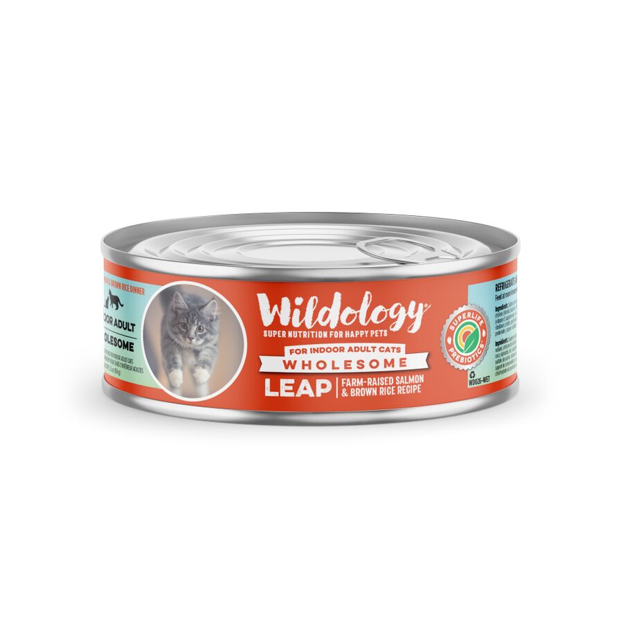 Leap Indoor Salmon & Brown Rice Recipe Wet Cat Food, 5.5-Oz