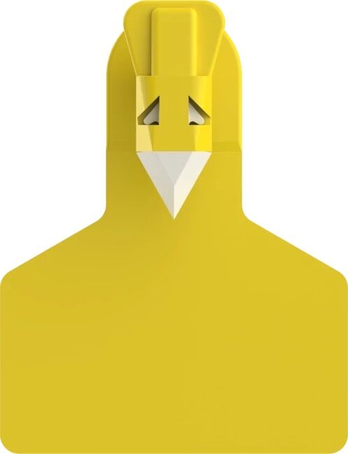 Z1 No-Snag-Tags™ Blank Small Animal Tags Yellow, 50-Ct